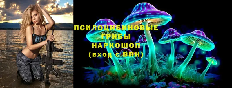 где продают наркотики  Узловая  кракен ТОР  Галлюциногенные грибы мухоморы 